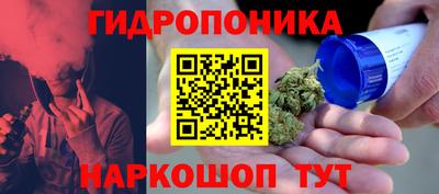 скорость Будённовск
