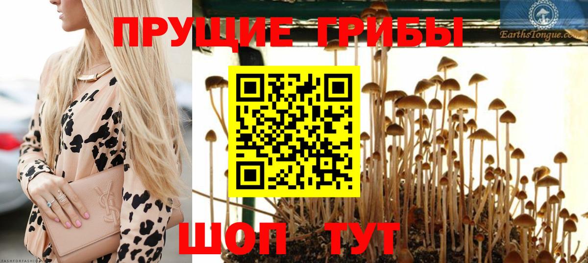 Галлюциногенные грибы Cubensis  Вход с VPN  Сердобск  Псилоцибиновые грибы мухоморы 