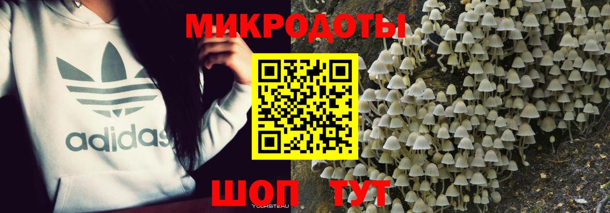 Галлюциногенные грибы прущие грибы Сердобск